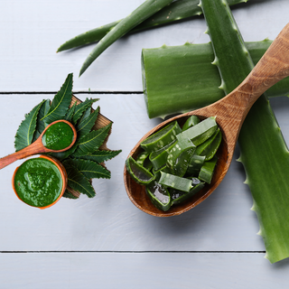 Reasons to Add Neem and Aloe Vera in Your Skin Care Routine