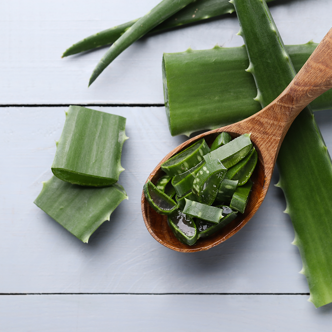 What makes Aloe Vera gel a must have in your kit?