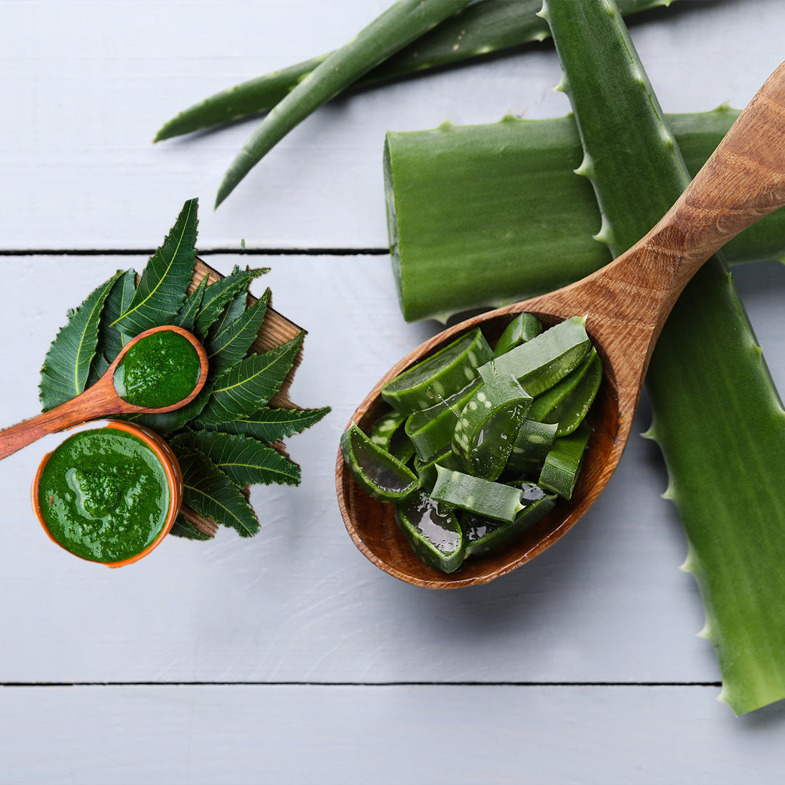 Reasons to add Neem and Aloe Vera in your Skin Care routine 